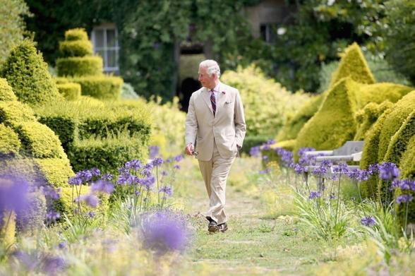 Prince Charles at 70 in Highgrove Garden Prince Charles at 70 in Highgrove Garden