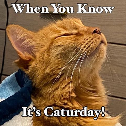 Orange cat with closed eyes and a content expression, facing up. Text reads "When You Know It’s Caturday!" The mood is peaceful and joyful.