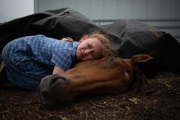 A girl is saying goodbye to her beloved horse.