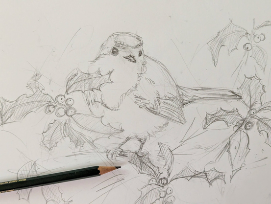 Handmade black and white pencil drawing of a European Robin bird sitting on a Holly branch by artist Karen Kaspar Handmade black and white pencil drawing of a European Robin bird sitting on a Holly branch by artist Karen Kaspar