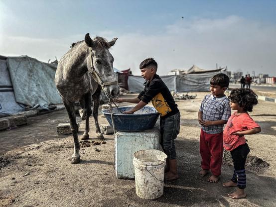 Children feed a puzzled horse outside makeshift tents.