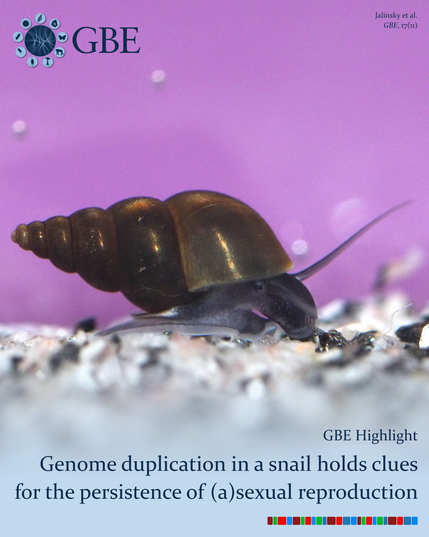 GBE | Highlight: Genome Duplication in a New Zealand Snail Holds Clues for the Persistence of (A)sexual Reproduction GBE | Highlight: Genome Duplication in a New Zealand Snail Holds Clues for the Persistence of (A)sexual Reproduction