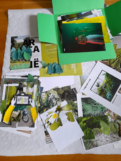 Collage materials lying on the floor, organised somewhat chaotically. There are photos from magazines, mostly of plants, as well as some illustrations in pen that have been cut out. Among the illustrations are small green conifer trees, a girl in black and white with only some yellow on her ches