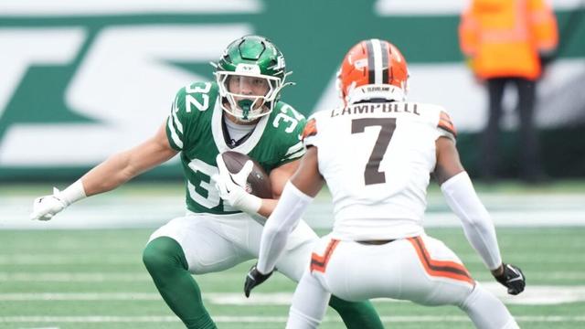 Cleveland Browns vs Baltimore Ravens game tickets near single digits