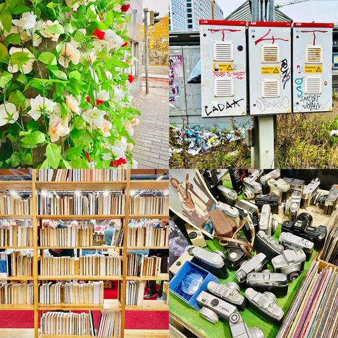 A vibrant collage featuring artificial flowers, vintage books, antique cameras, and graffiti-covered electrical boxes amidst urban decay.