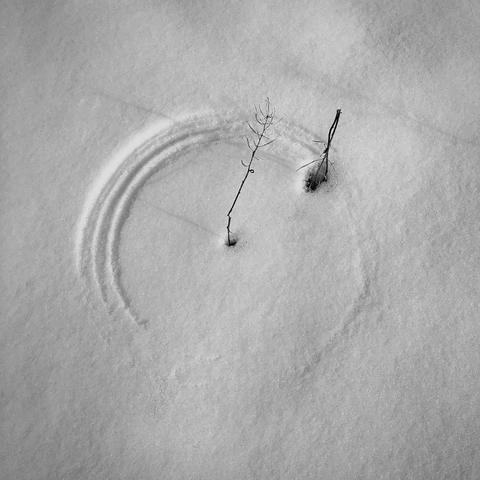 A circle shape traced in the snow by a small twig. A broken bit of flower cuts the circle at the one o’clock position.