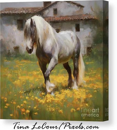 This is a canvas of a pretty white stallion in a field of tuscan dandelions flowers with a cottage style tuscan barn in the background.
