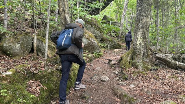 Des randonneurs sur un sentier pédestre dans la forêt.