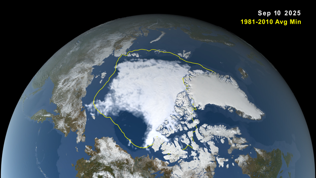 sea ice