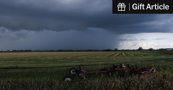 The western province of Alberta has reported the highest concentration of measles in Canada.