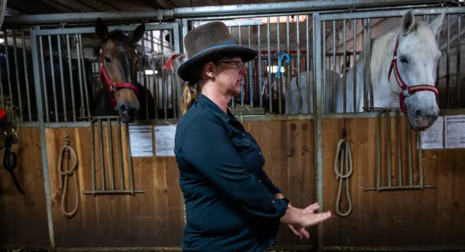 A carriage horse operator at a stable. A carriage horse operator at a stable.