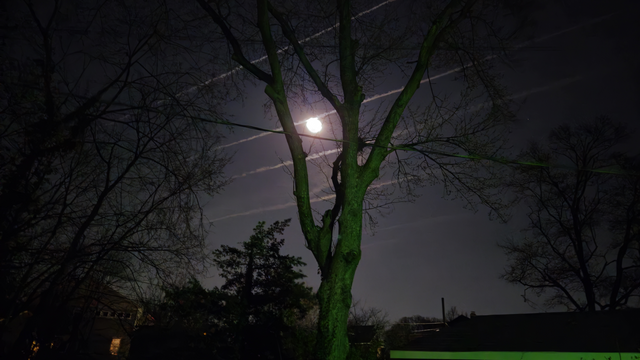 Working on this alt-text. Will have up shortly.