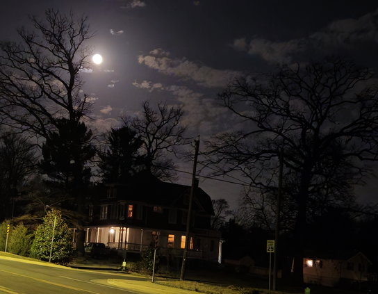 working on this alt-text. Please stop back shortly. 

www.KronoMoon.org
#Kronodon 