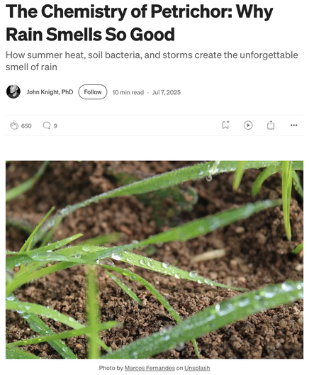 Story titled “The Chemistry of Petrichor: Why Rain Smells So Good” and green leaves dotted with raindrops