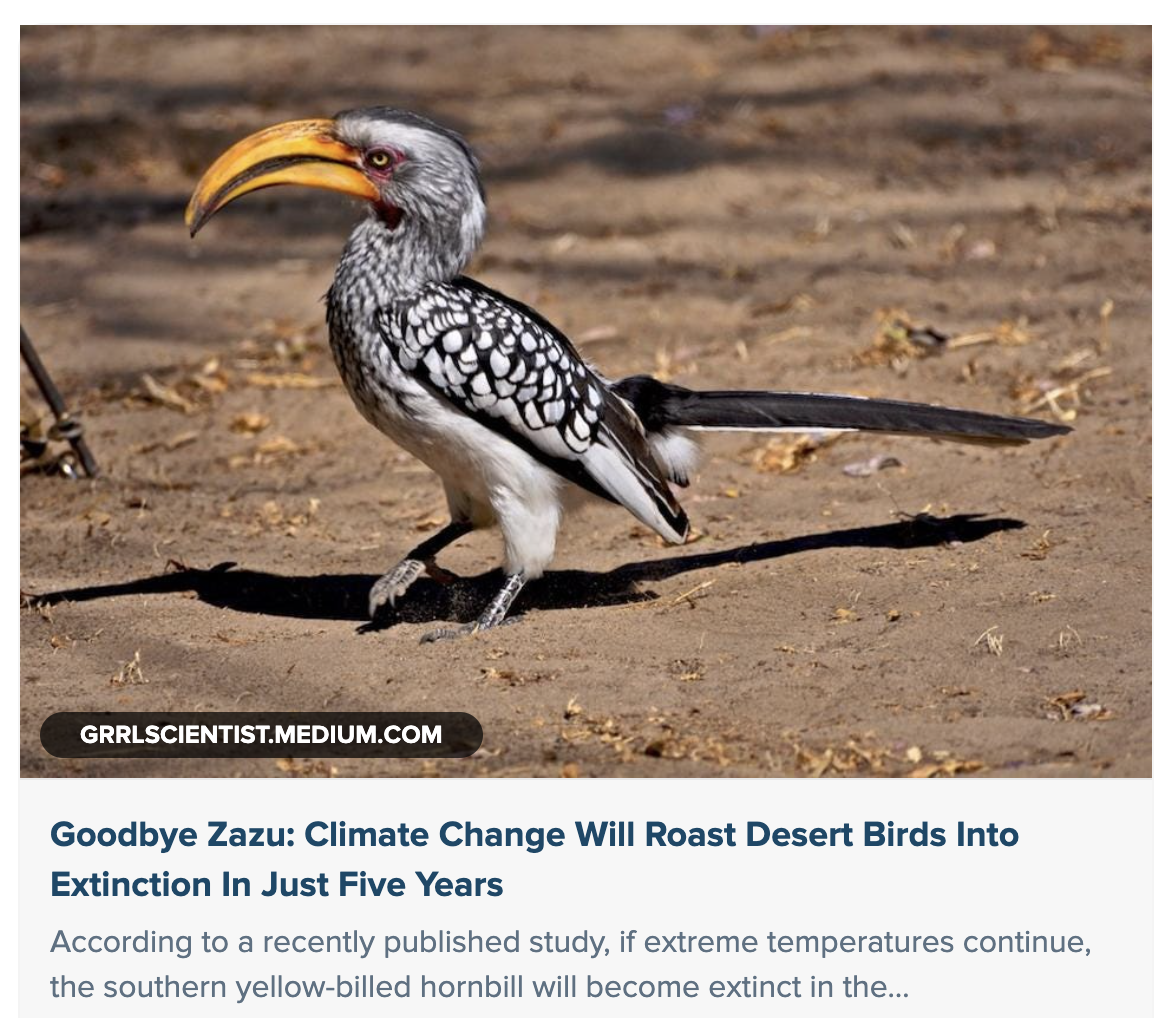 Sorry, no caption provided by author