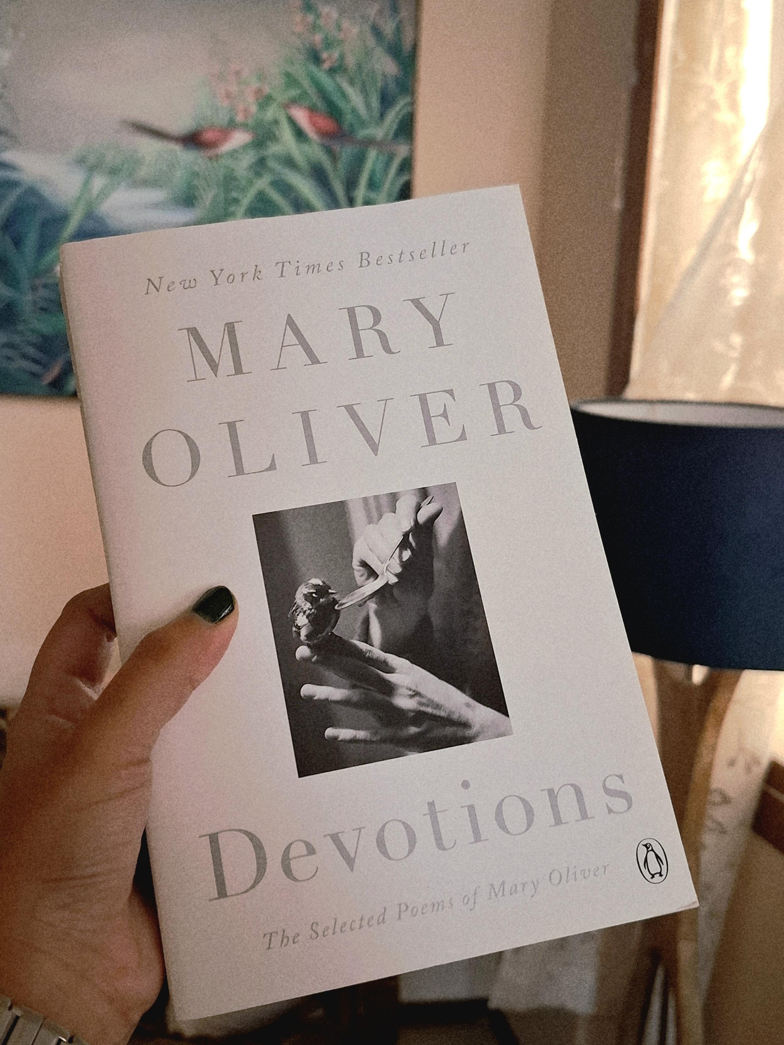 My left hand holding a copy of Mary Oliver's poetry collection titled Devotions. In the background is a painting of two birds sitting on a branch, on the right is a white curtain behind a Teal colored floor lamp.
Friday is here, best day to start reading a new book. Happy weekend to everyone.